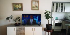 a living room with a flat screen tv on a counter at Pinienblick in Erkrath
