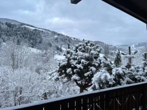 Φωτογραφία από το άλμπουμ του Escargot de Neige σε La Bresse