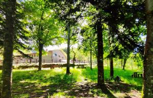 Billede fra billedgalleriet på casa al taverni i Falciano