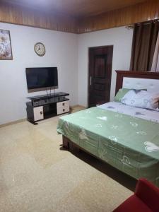 Et tv og/eller underholdning på Viamo Lodge Apartments