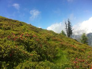 Paesaggio naturale nelle vicinanze dell'appartamento
