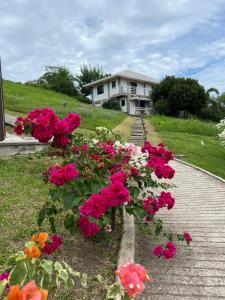 Zahrada ubytování A & L Resort - Sea & Mountain View