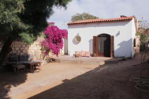 达哈布Noah's Ark的一座带长凳、桌子和鲜花的建筑