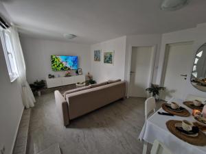 TV a/nebo společenská místnost v ubytování Apartments KUS Ugljan