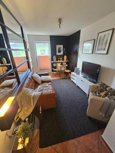 ein Wohnzimmer mit Sofa und Fernseher in der Unterkunft Kapitänshaus - Zickenstube in Barth