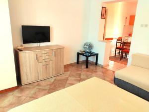 una sala de estar con TV de pantalla plana en un armario en Apartments Boa, en Slatine