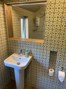 a bathroom with a sink and a mirror at Banc Cottage in Pembrokeshire
