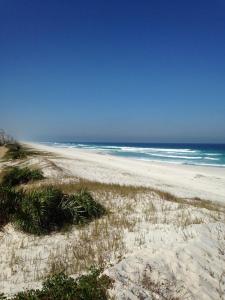 Příroda nedaleko ubytování v soukromí