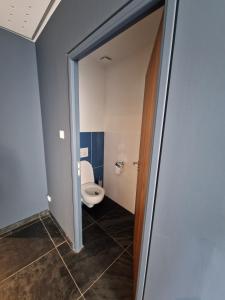 Et badeværelse på Villa pieds dans l'eau du Lac du Bourget