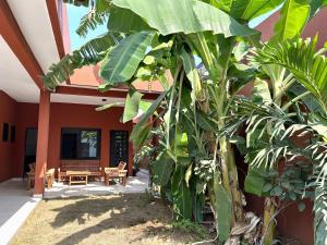 a porch of a house with a bunch of banana trees at Quiet Villa Near Sea, Cotonou in Sèmè-Podji