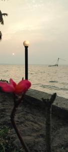 NīndakaraにあるBlue Lagoon Sambranikodiのギャラリーの写真 +10枚の写真