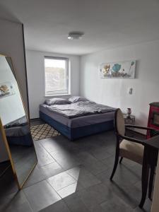 a bedroom with a bed and a mirror and a chair at Haus Evelynchen Apartment 2 Deutschhof in Deutschhof
