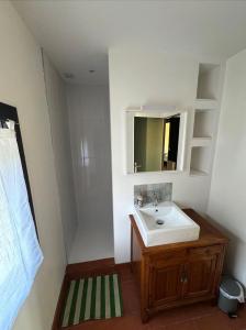 ein Badezimmer mit Waschbecken und Spiegel in der Unterkunft Gîte du Moulinet in Chézy-sur-Marne + 7 Fotos