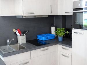 Kuchyň nebo kuchyňský kout v ubytování Lütt Plambeck-Appartement Silvia EG 1