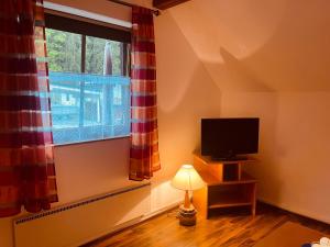 a living room with a television and a window at Ferienwohnung mit großem Balkon in Feistritz im Rosental