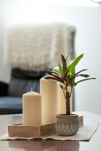 un tavolo con due candele e una pianta in vaso di MarEwa Ferien a Mechernich Altre 14 foto