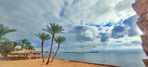 Ảnh trong thư viện ảnh của Bayt Alhout ở Nuweiba +19 ảnh