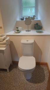 a bathroom with a white toilet and a window at 2 Mill Cottages in Cornworthy