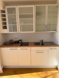 Cucina o angolo cottura di Cozy StudioApartment with Graden in Graz Free Parking