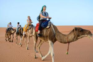 Gallery image of Sahara Garden Camp in Merzouga