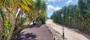 a street light next to a road with palm trees at Villa Pardalot Boutique Stays in Benicarló
