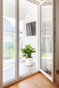 TV a/nebo společenská místnost v ubytování HAY Apartment Bled