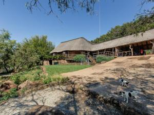 two animals standing in front of a building at Stone cottage in Haarties in Kalkheuvel