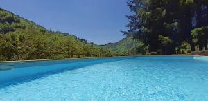 a pool of blue water with trees in the background at Il Bosco di Campo Marzano Nature Retreats in Borzonasca +44 photos