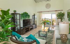 un soggiorno con TV e alcune piante di Beautiful 5-bed villa with views and pool - Decaj villa a Cap Estate