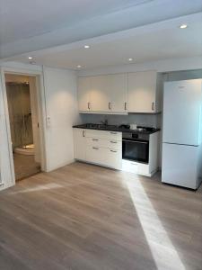 Η κουζίνα ή μικρή κουζίνα στο studio apartment 24 sqm