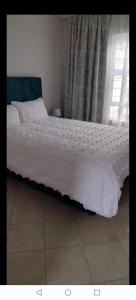 a bed in a room with a window and a bedskirtspectspectspectspects at Lerato's Guesthouse in Polokwane
