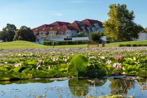 a pond with lilies and a house in the background at Thermal Residence Apartman in Zalakaros