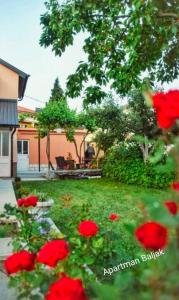 a garden with red flowers in the grass at Apartman Baljak in Livno