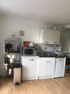 Kuchyň nebo kuchyňský kout v ubytování Tiny House