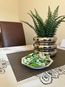 Fotografie z fotogalerie ubytování The Cozy Corner Windhoek 24 Hours v destinaci Windhoek