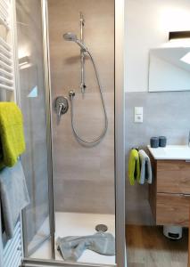 a shower with a glass door in a bathroom at Ferienhof Hefele Ferienwohnung Breitenberg mit KönigsCard in Hopferau +17 photos