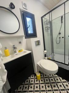 a bathroom with a toilet and a sink and a shower at Dobrostan Domek w Naturze in Szafarnia +51 photos