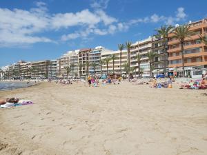 Plaża w apartamencie lub w pobliżu
