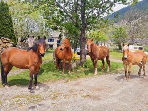 Galeriebild der Unterkunft EQUI-Libre in Porta