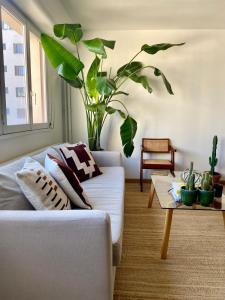 a living room with a white couch and a plant at Apartment in Montmartre in Paris