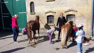 a group of children standing around a group of horses at Gartenhaus 2, inkl 1 Parkplatz in Fehmarn +8 photos