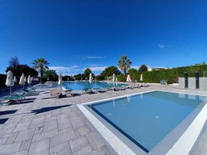 a large swimming pool with chairs and umbrellas at FeWo C-01 by Garda Urlaub in Colà di Lazise