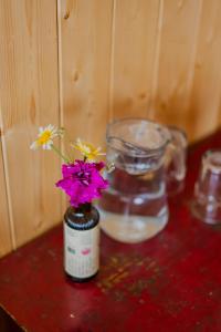 Fotografie z fotogalerie ubytování The Destination Homestay v destinaci Léh