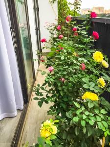 a bunch of flowers are growing on a balcony at Green Line Long Bien - Serviced Apartment - Ngoc Thuy - Hanoi in Hanoi