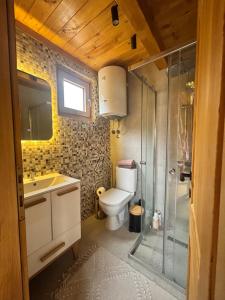 Koupelna v ubytování Cottage retreat- Skadar Lake + 25 fotografií