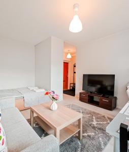 Μια τηλεόραση ή/και κέντρο ψυχαγωγίας στο Cozy & Comfy Studio, 14 Mins from Airport, 18 Mins to City Center
