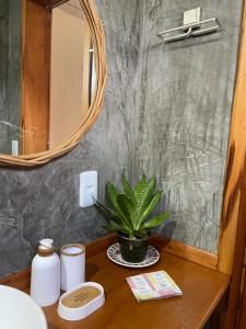 a bathroom with a sink and a mirror and a plant at Aquarela Lofts em Icaraizinho in Amontada