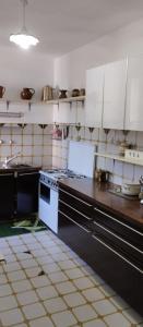アルティピアニ・ディ・アルチナッツォにあるVilla Americo - Casa vacanze con parco privatoの白いキャビネットと黒いカウンタートップを備えたキッチン