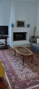 アルティピアニ・ディ・アルチナッツォにあるVilla Americo - Casa vacanze con parco privatoのリビングルーム(暖炉の前にコーヒーテーブル付)