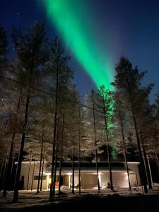 クーサモにあるHarjunrantaの木の立つ建物上空のオーロラ